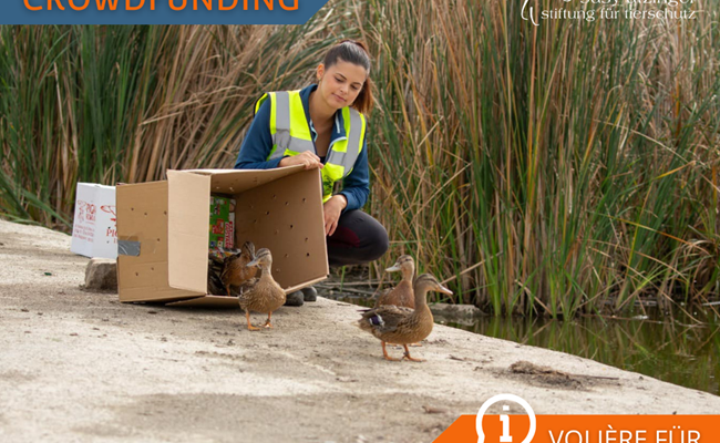 Crowdfunding Volière für kleine Wasservögel im SUST-Wildlife Rehabilitation Center